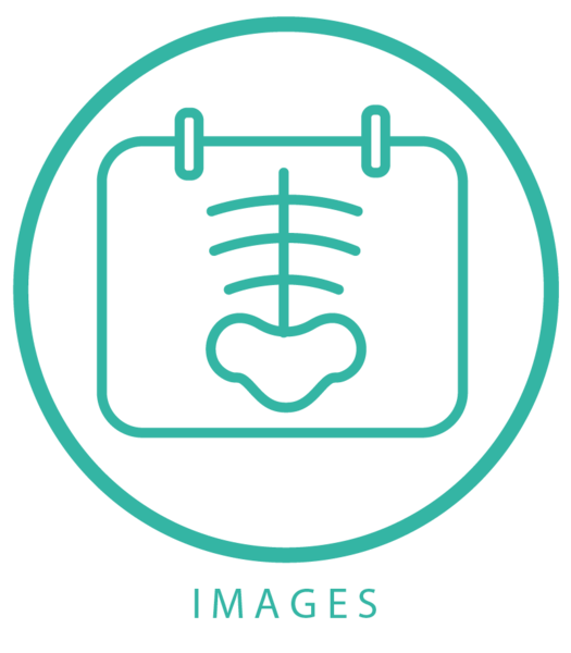 Bestand:Beelden met EN tekst.png